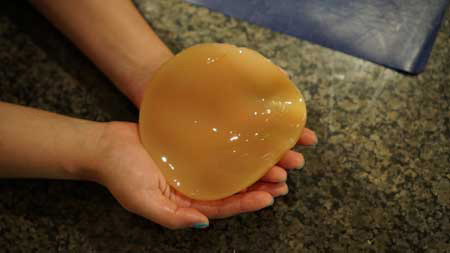 kombucha SCOBY