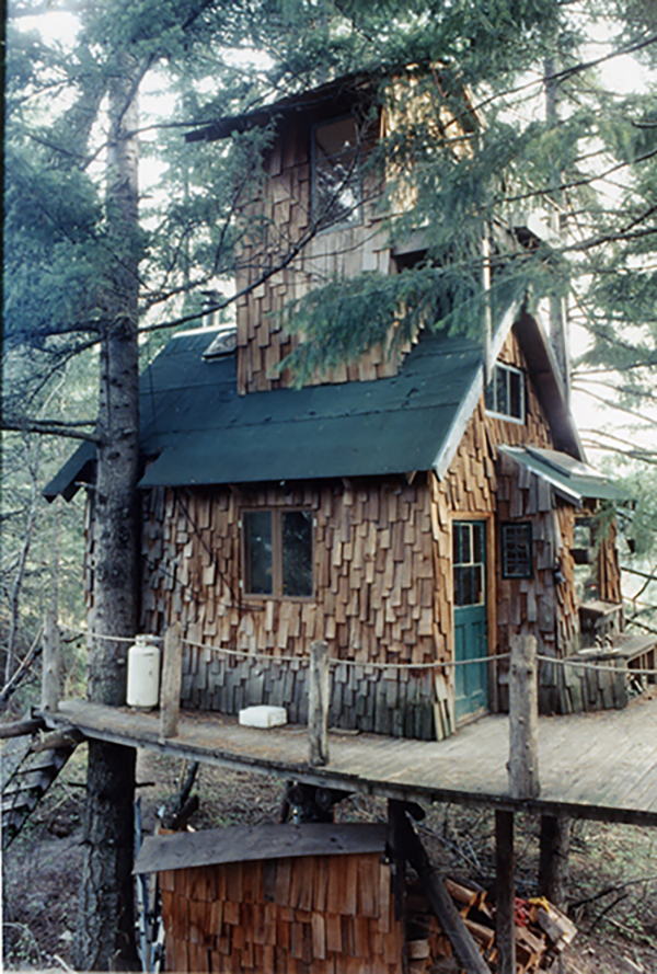 Seth's treehouse