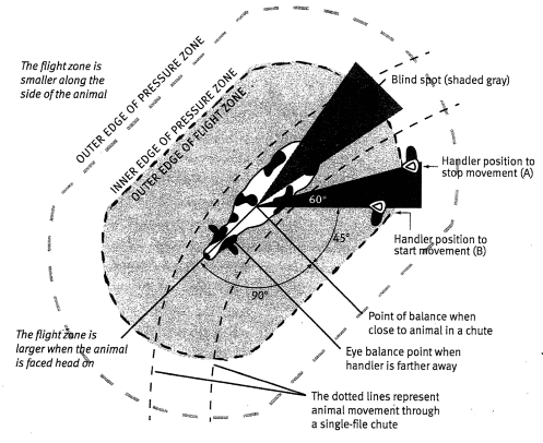 flight zone