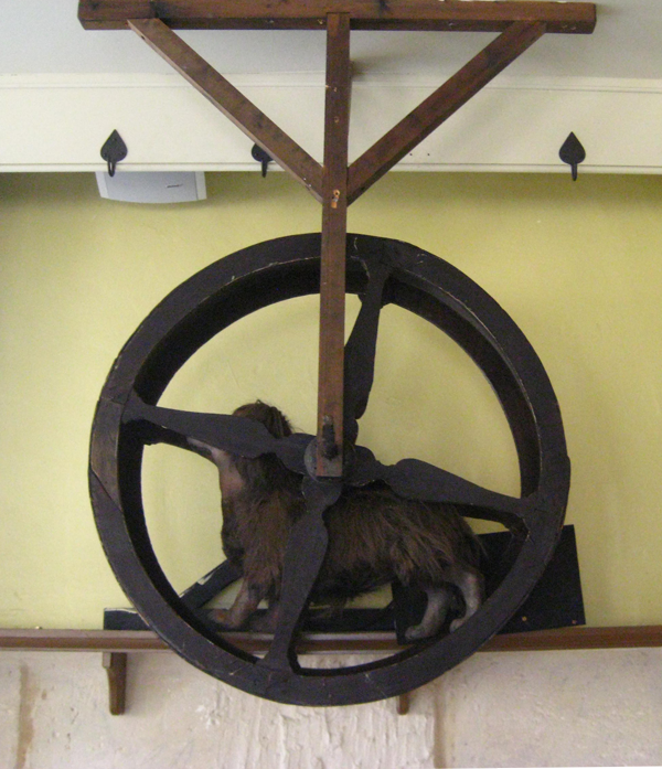 61 Turnspit Dogs 61 Turnspit Dogs
